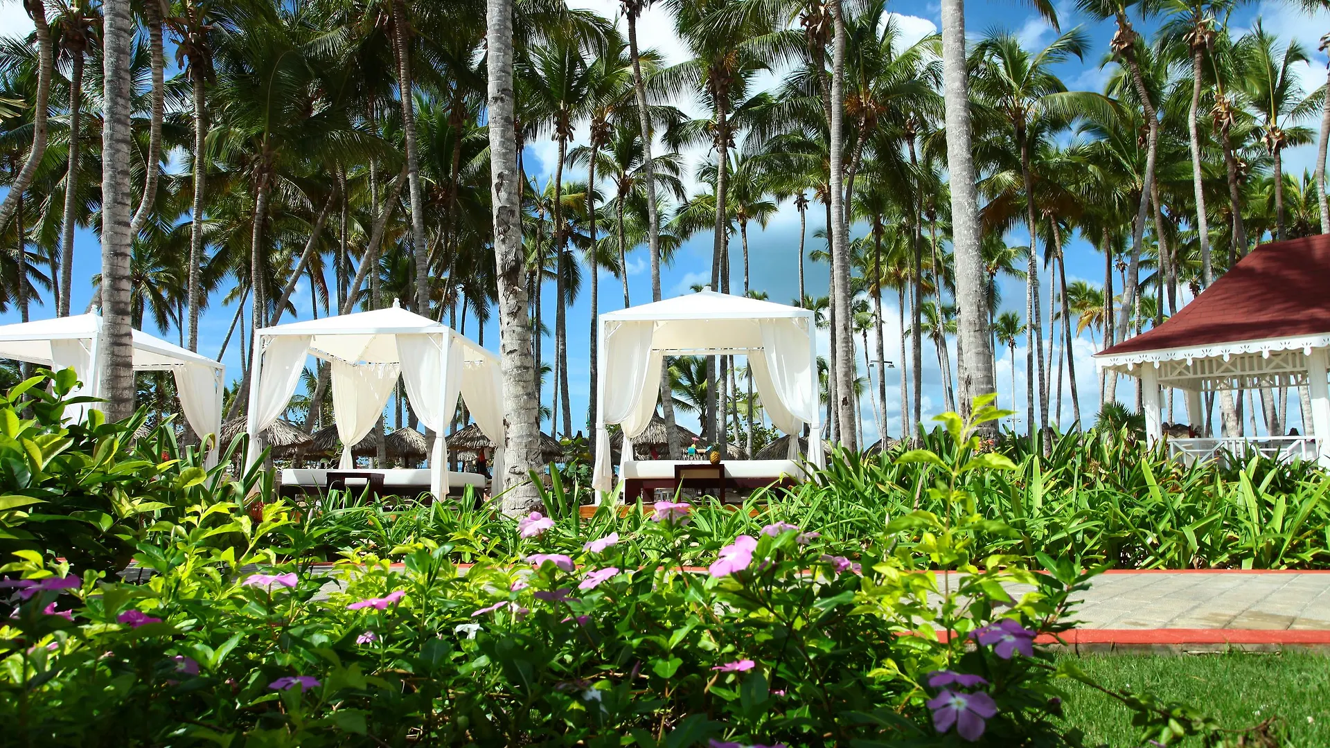 Bahia Principe Luxury Bouganville (Adults Only) El Soco Resort